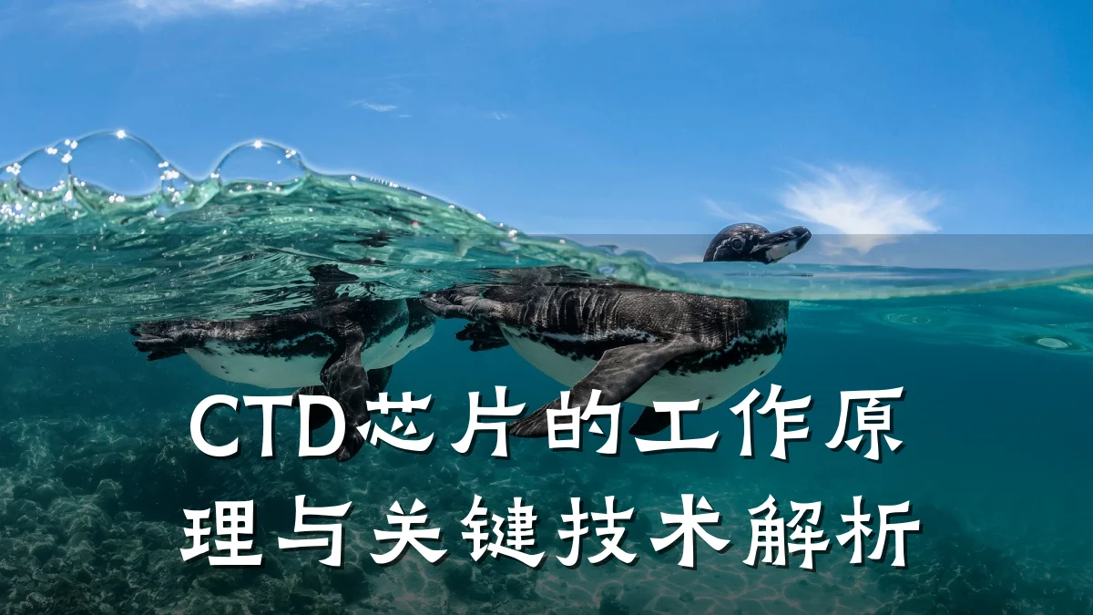 CTD芯片的工作原理与关键技术解析