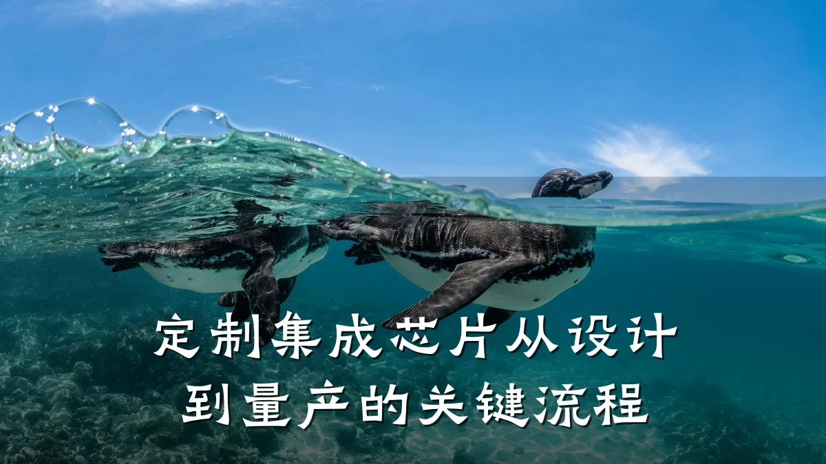 定制集成芯片从设计到量产的关键流程
