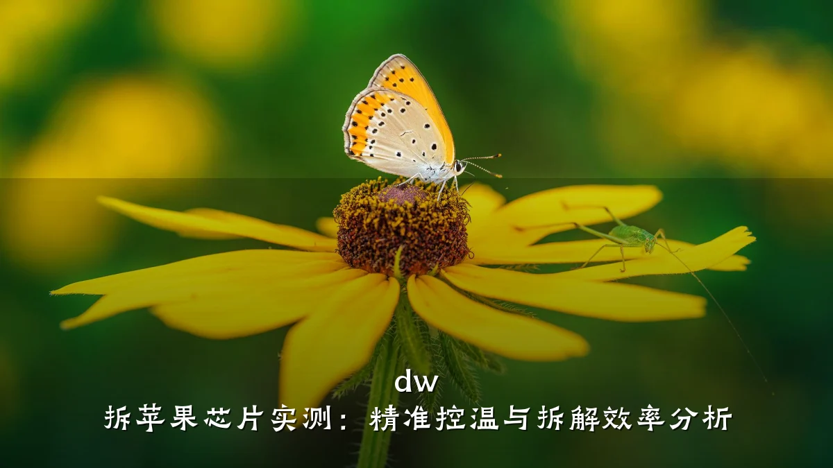 dw 拆苹果芯片实测:精准控温与拆解效率分析
