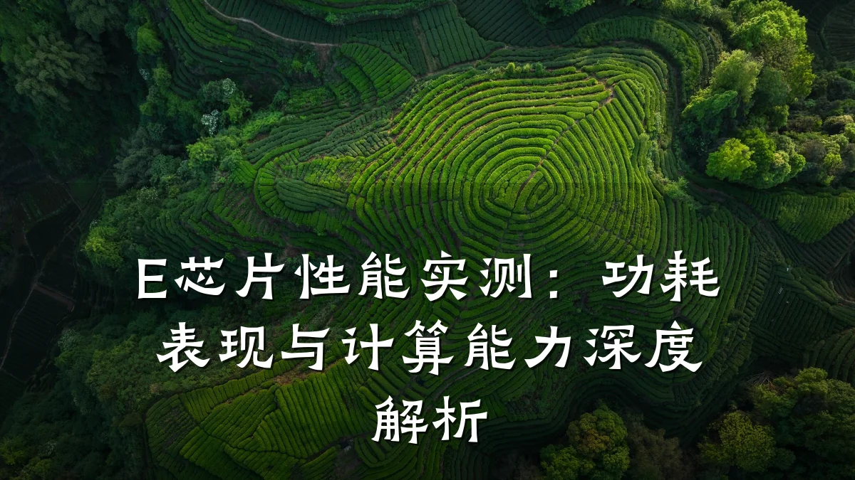 E芯片性能实测:功耗表现与计算能力深度解析