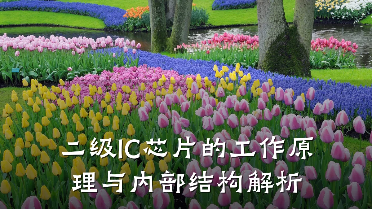 二级IC芯片的工作原理与内部结构解析