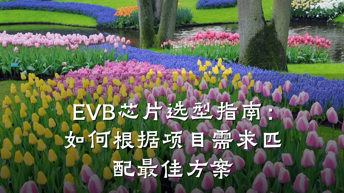 EVB芯片选型指南:如何根据项目需求匹配最佳方案