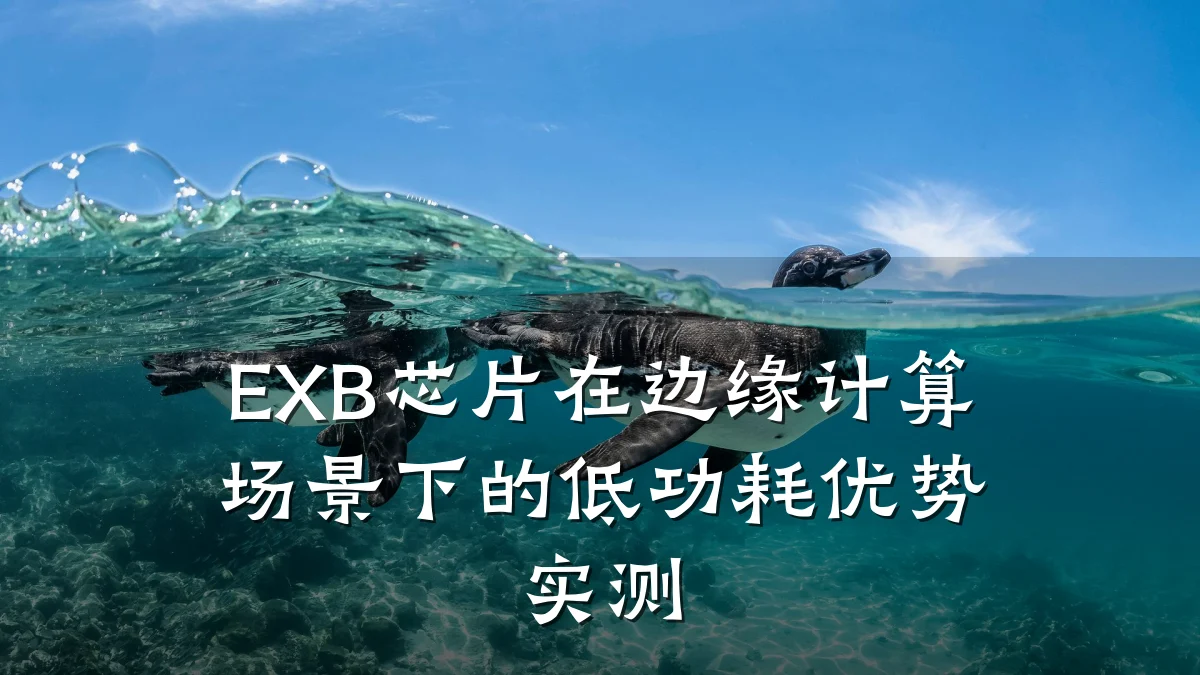 EXB芯片在边缘计算场景下的低功耗优势实测