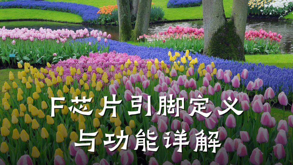 F芯片引脚定义与功能详解