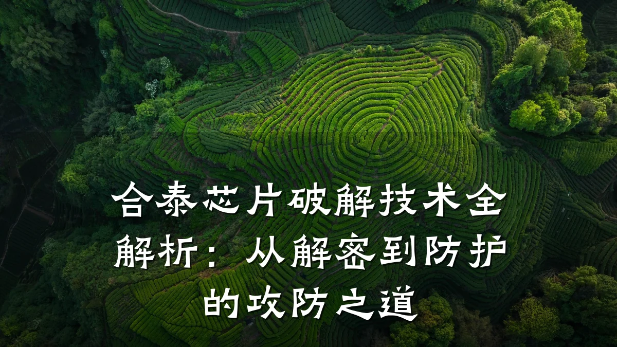 合泰芯片破解技术全解析:从解密到防护的攻防之道