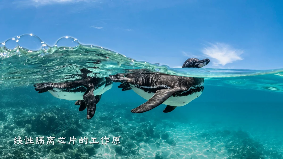 线性隔离芯片的工作原