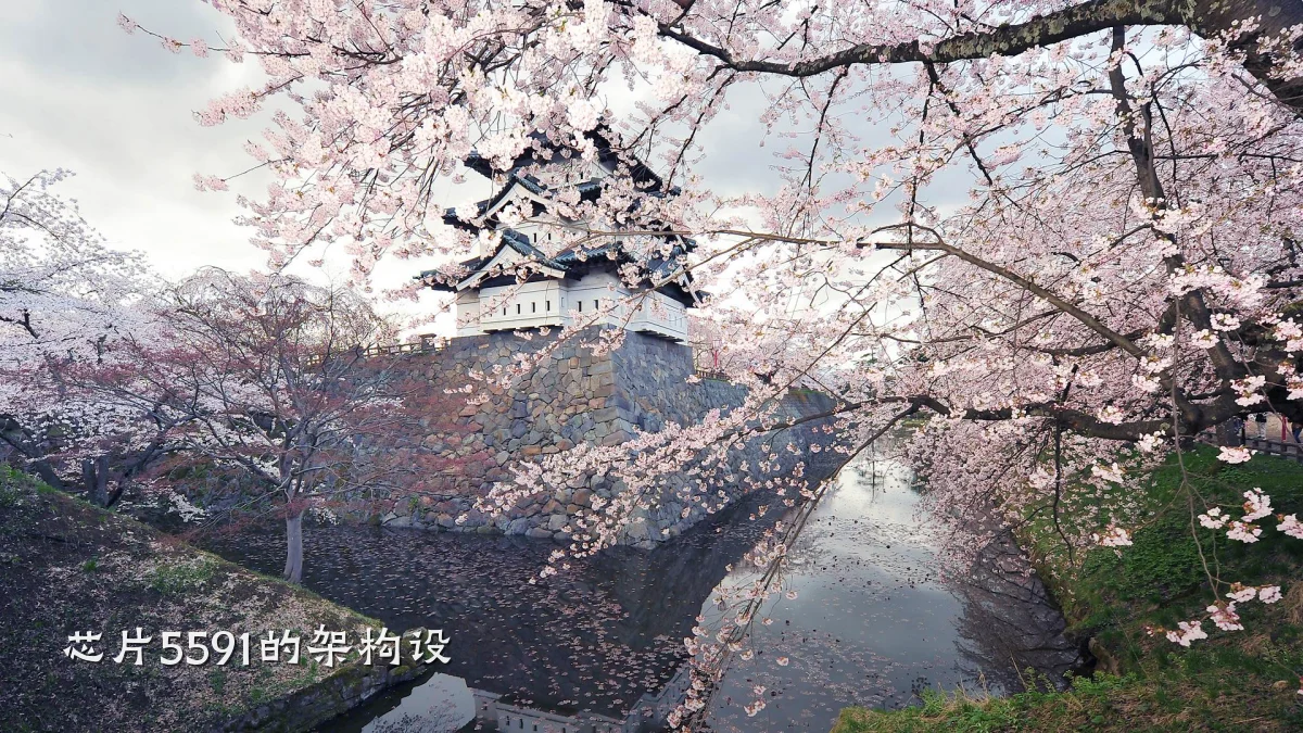 芯片5591的架构设
