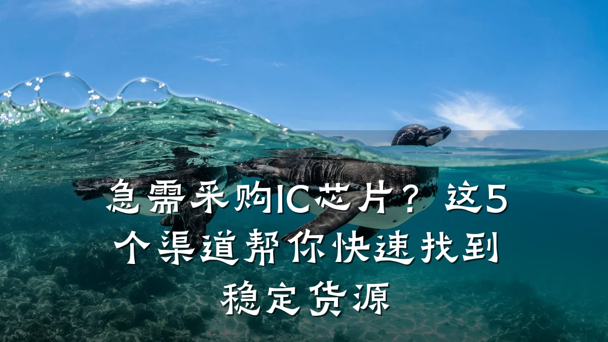 急需采购IC芯片？这5个渠道帮你快速找到稳定货源