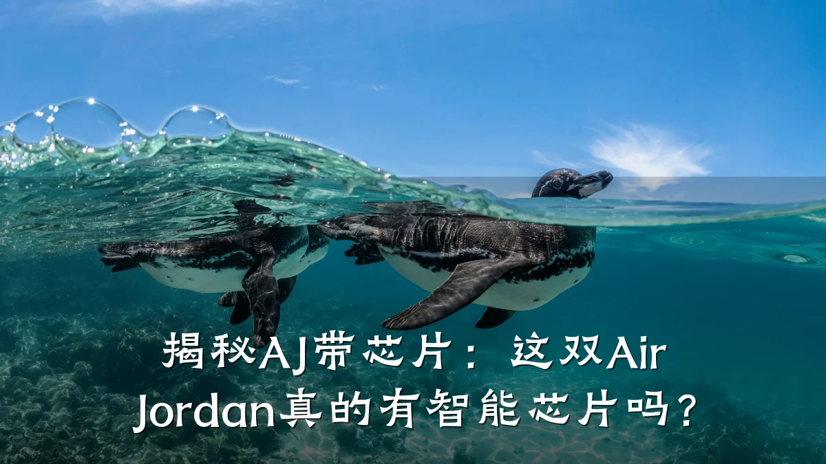 揭秘AJ带芯片：这双Air Jordan真的有智能芯片吗？