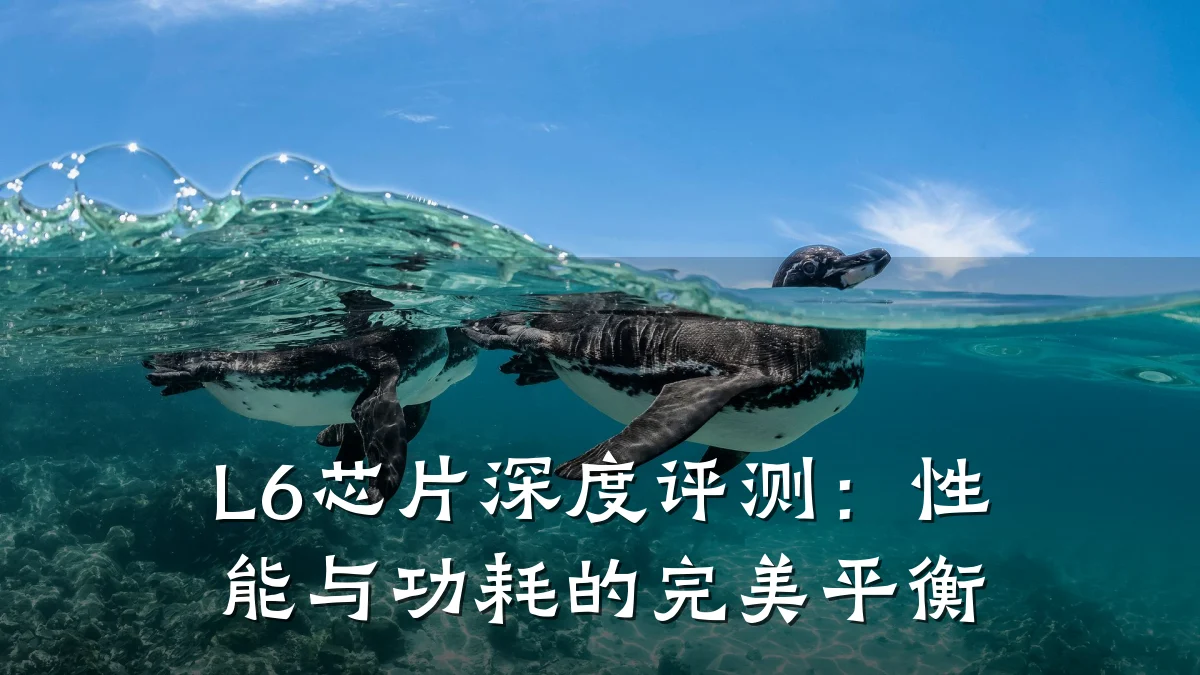 L6芯片深度评测：性能与功耗的完美平衡