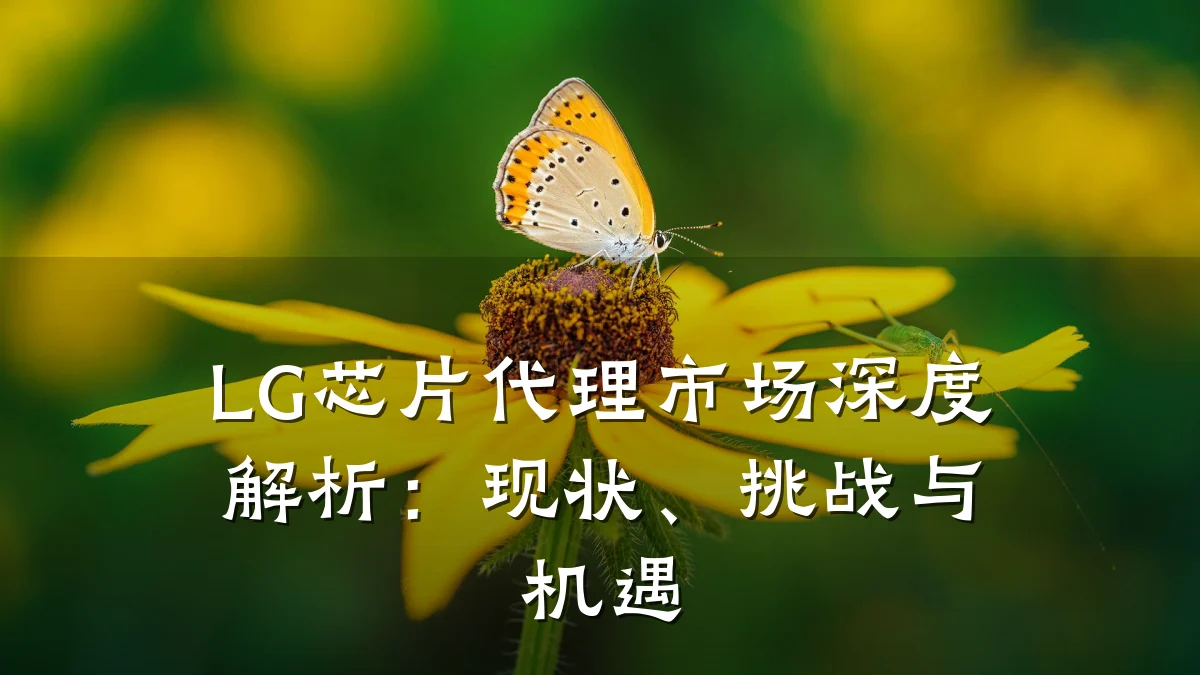 LG芯片代理市场深度解析：现状、挑战与机遇