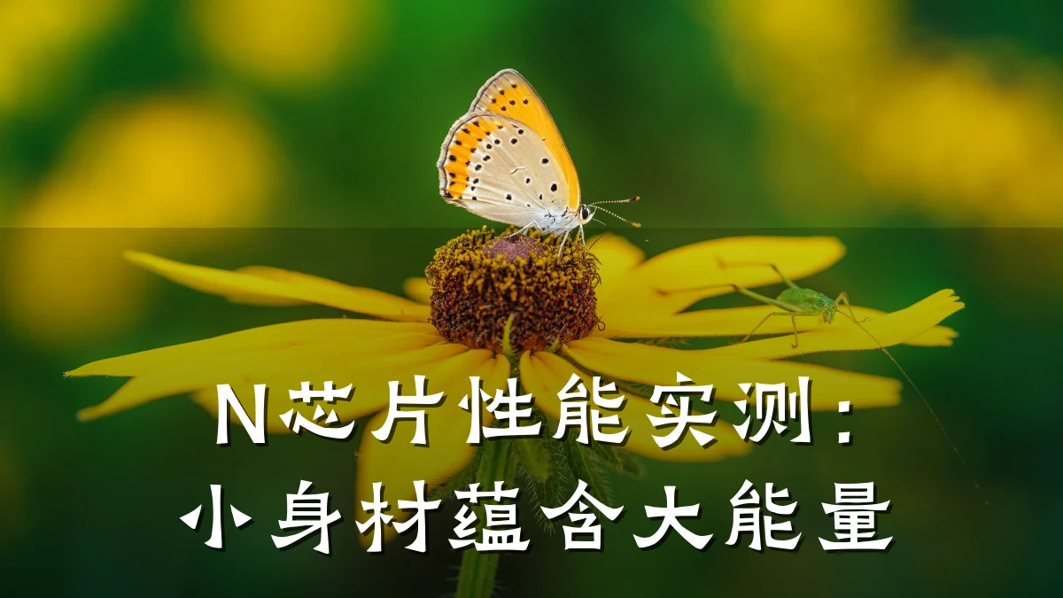 N芯片性能实测:小身材蕴含大能量