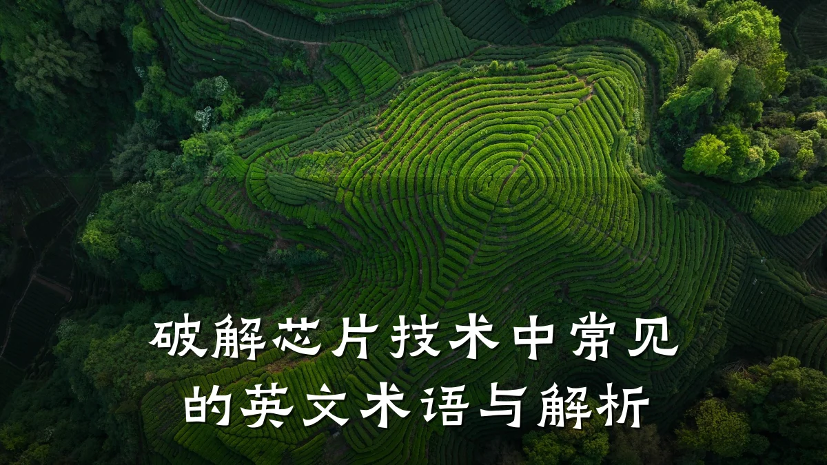 破解芯片技术中常见的英文术语与解析