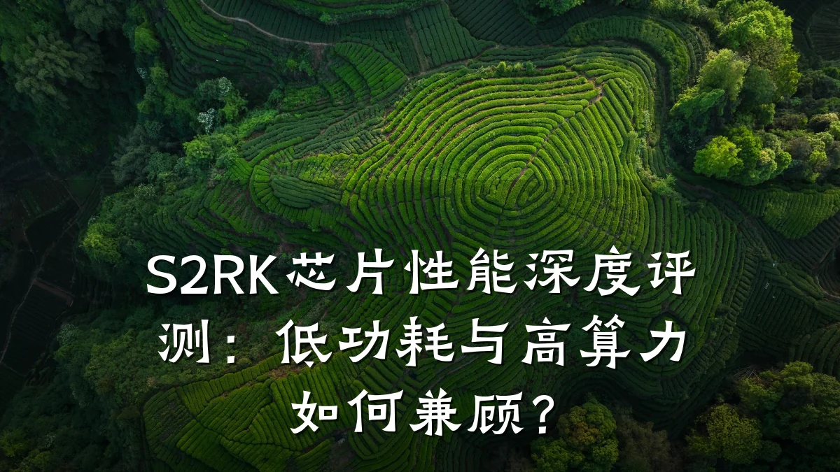 S2RK芯片性能深度评测:低功耗与高算力如何兼顾?