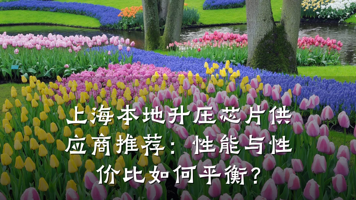 上海本地升压芯片供应商推荐:性能与性价比如何平衡?