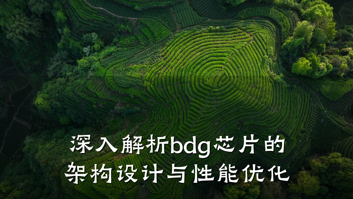 深入解析bdg芯片的架构设计与性能优化