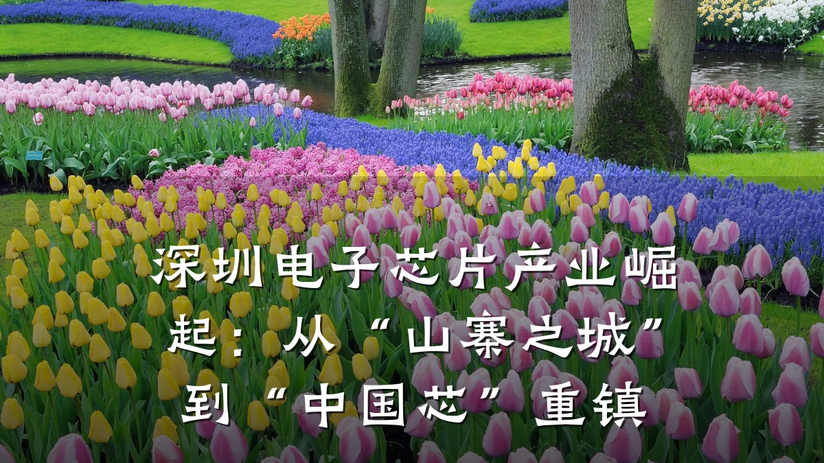 深圳电子芯片产业崛起:从“山寨之城”到“中国芯”重镇
