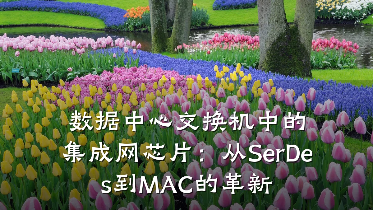 数据中心交换机中的集成网芯片：从SerDes到MAC的革新