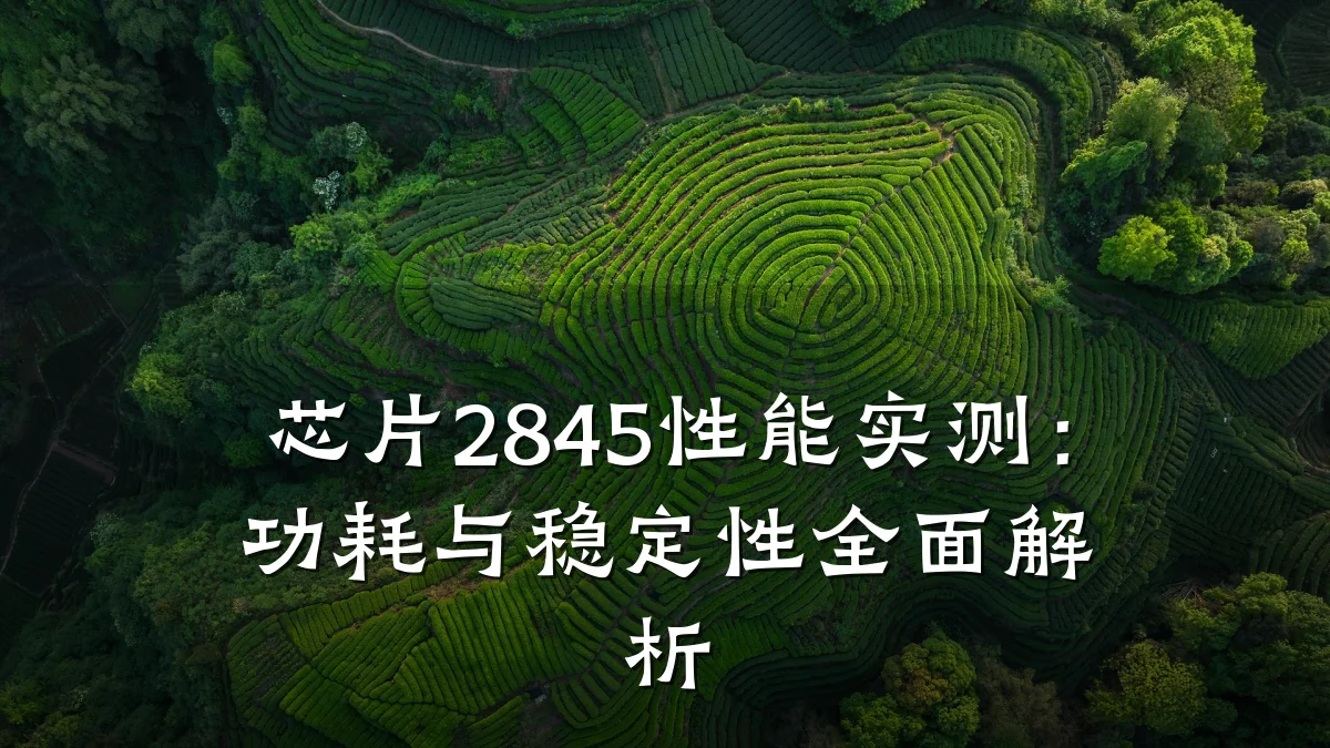 芯片2845性能实测:功耗与稳定性全面解析