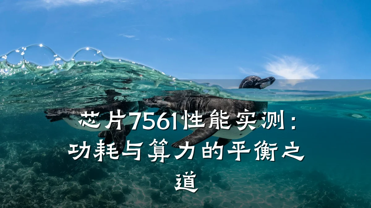芯片7561性能实测:功耗与算力的平衡之道