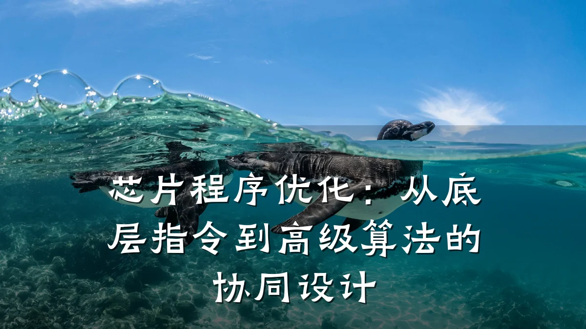 芯片程序优化：从底层指令到高级算法的协同设计