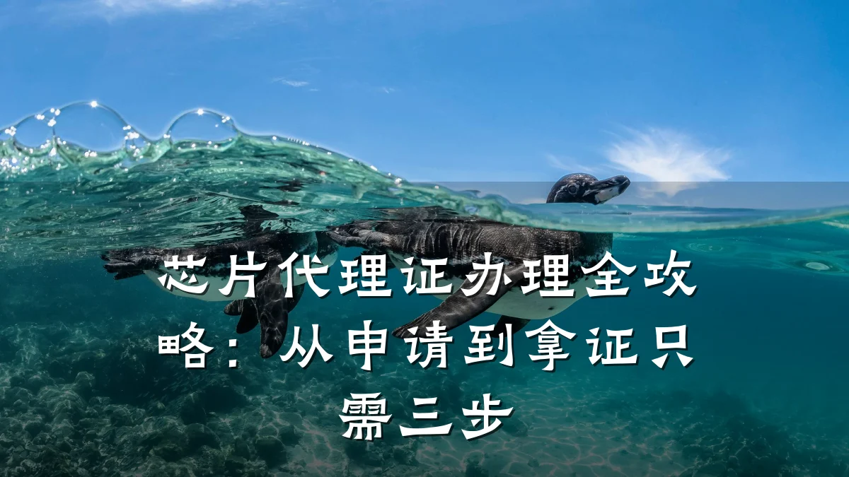 芯片代理证办理全攻略:从申请到拿证只需三步