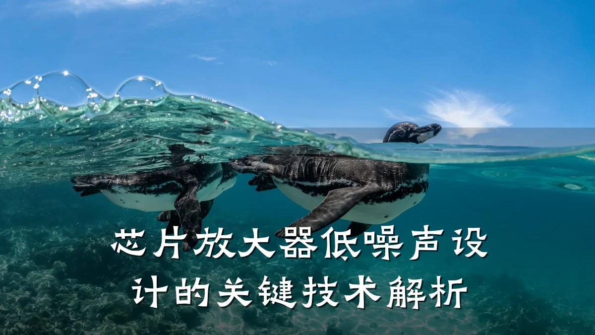 芯片放大器低噪声设计的关键技术解析