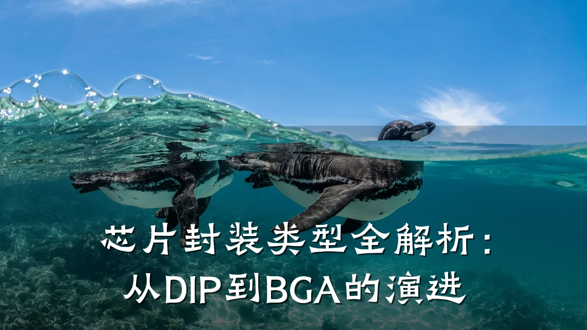 芯片封装类型全解析:从DIP到BGA的演进