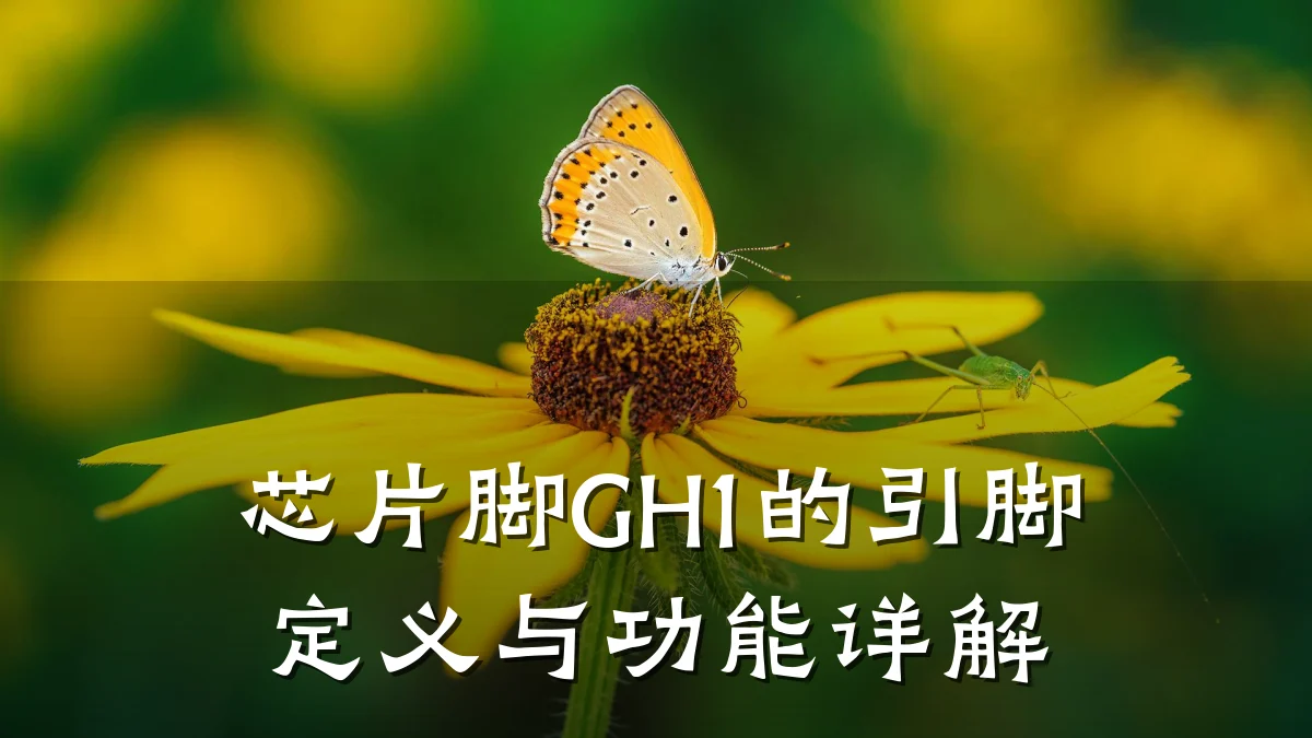 芯片脚GH1的引脚定义与功能详解