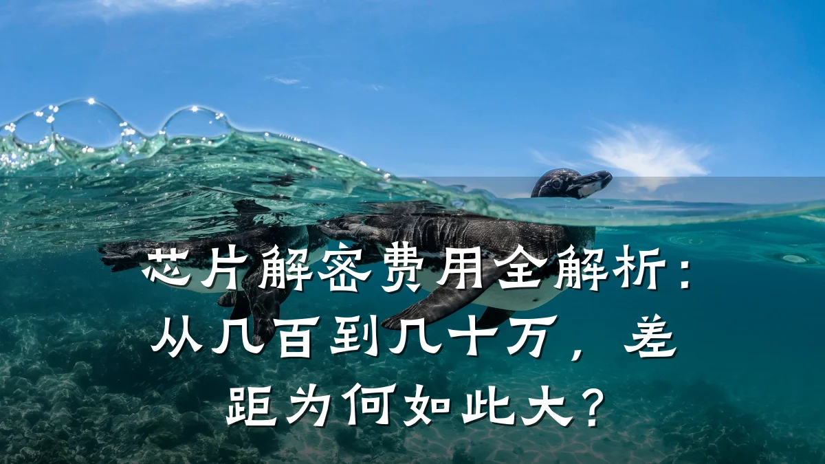 芯片解密费用全解析:从几百到几十万,差距为何如此大?