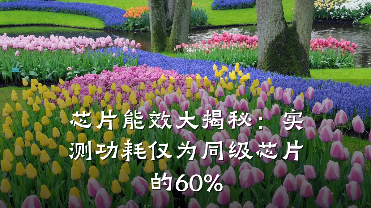 芯片能效大揭秘:实测功耗仅为同级芯片的60%