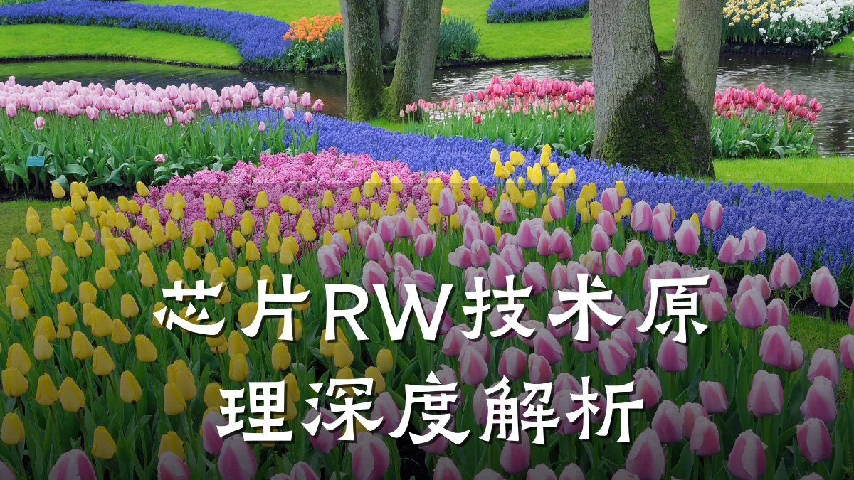 芯片RW技术原理深度解析