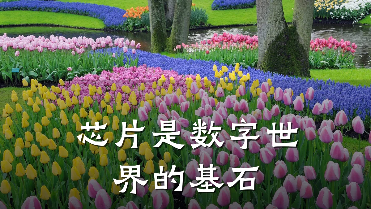 芯片是数字世界的基石