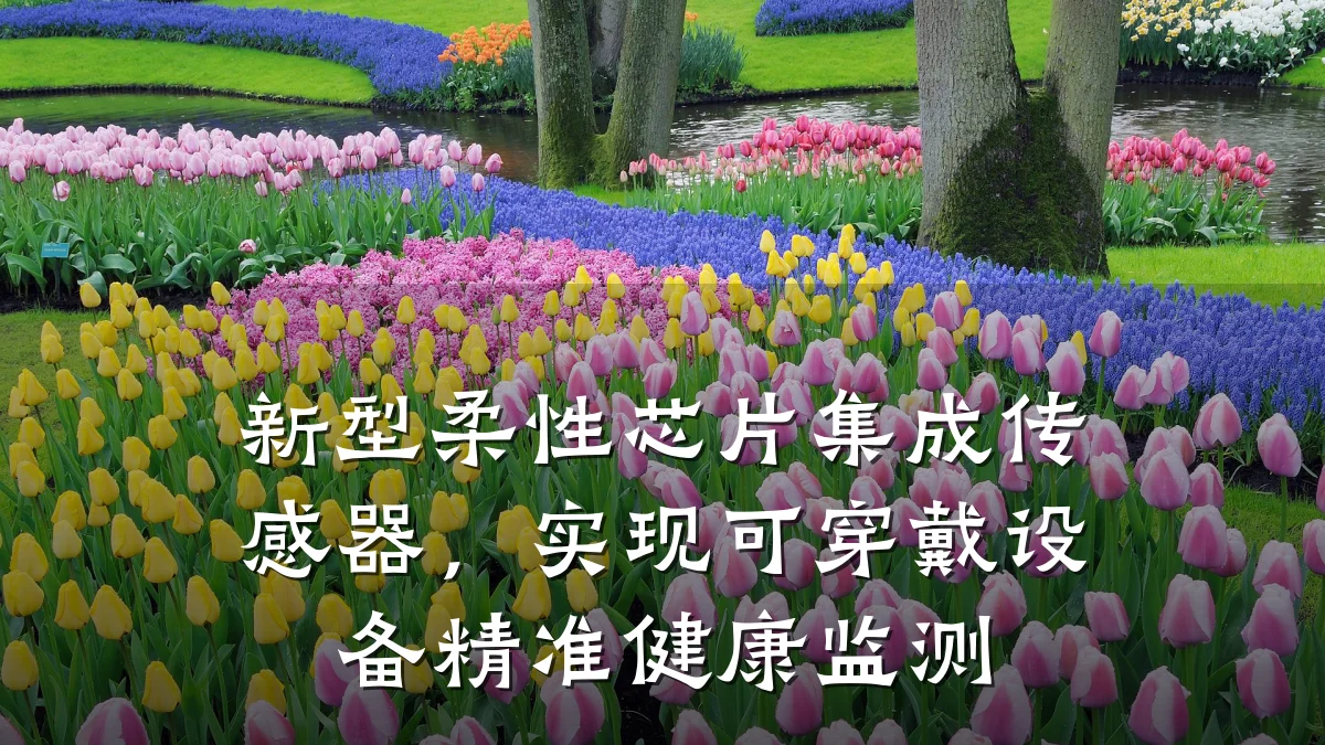 新型柔性芯片集成传感器,实现可穿戴设备精准健康监测