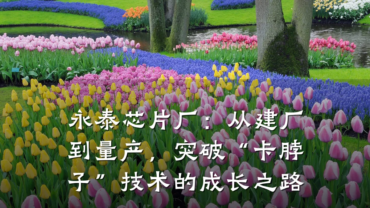 永泰芯片厂:从建厂到量产,突破“卡脖子”技术的成长之路