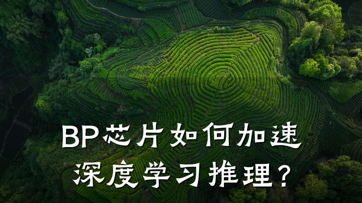 BP芯片如何加速深度学习推理?