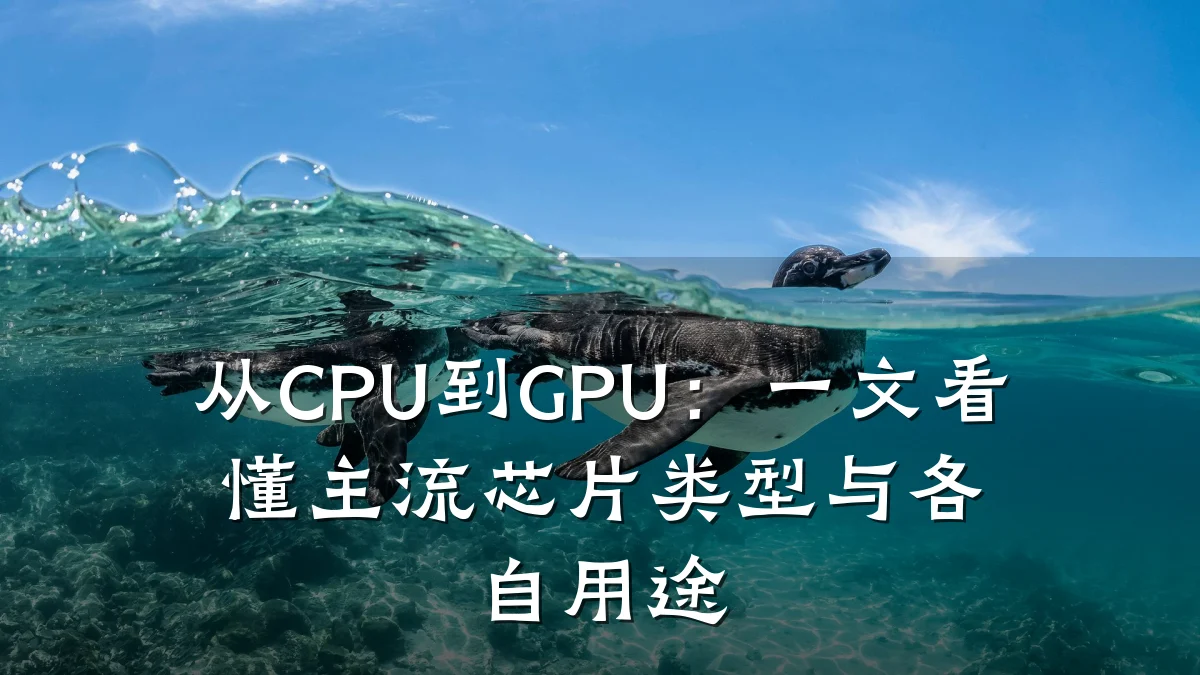 从CPU到GPU：一文看懂主流芯片类型与各自用途