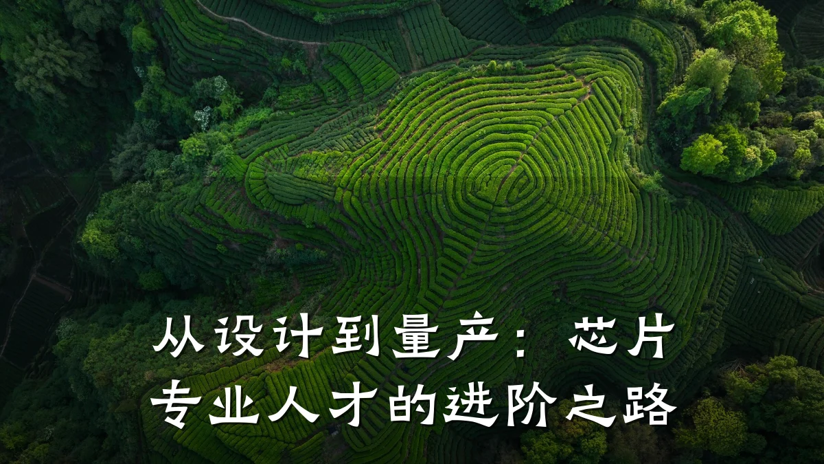 从设计到量产:芯片专业人才的进阶之路