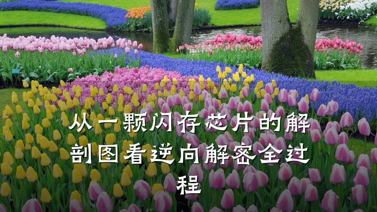 从一颗闪存芯片的解剖图看逆向解密全过程