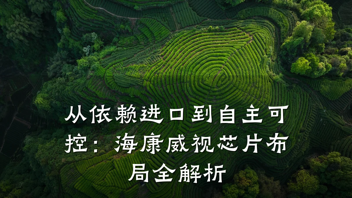 从依赖进口到自主可控：海康威视芯片布局全解析
