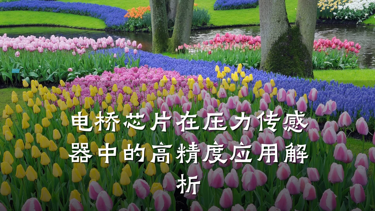 电桥芯片在压力传感器中的高精度应用解析