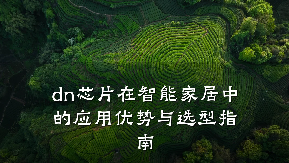 dn芯片在智能家居中的应用优势与选型指南