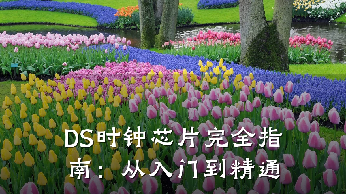 DS时钟芯片完全指南:从入门到精通
