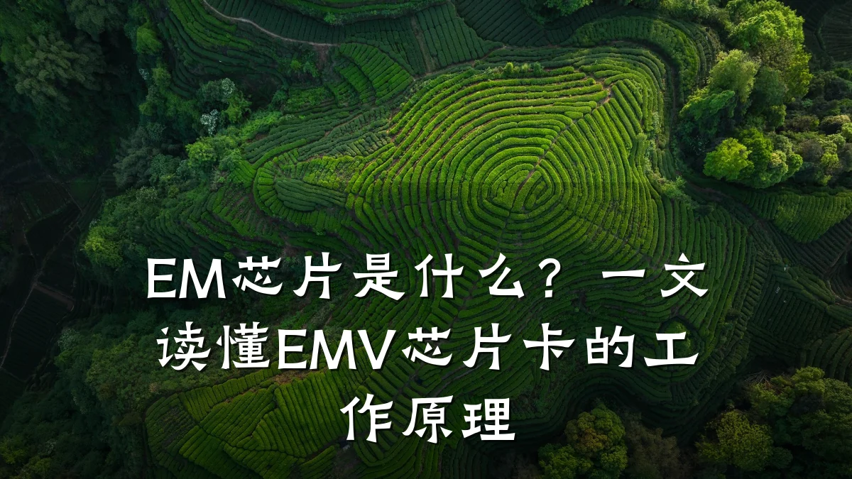 EM芯片是什么?一文读懂EMV芯片卡的工作原理