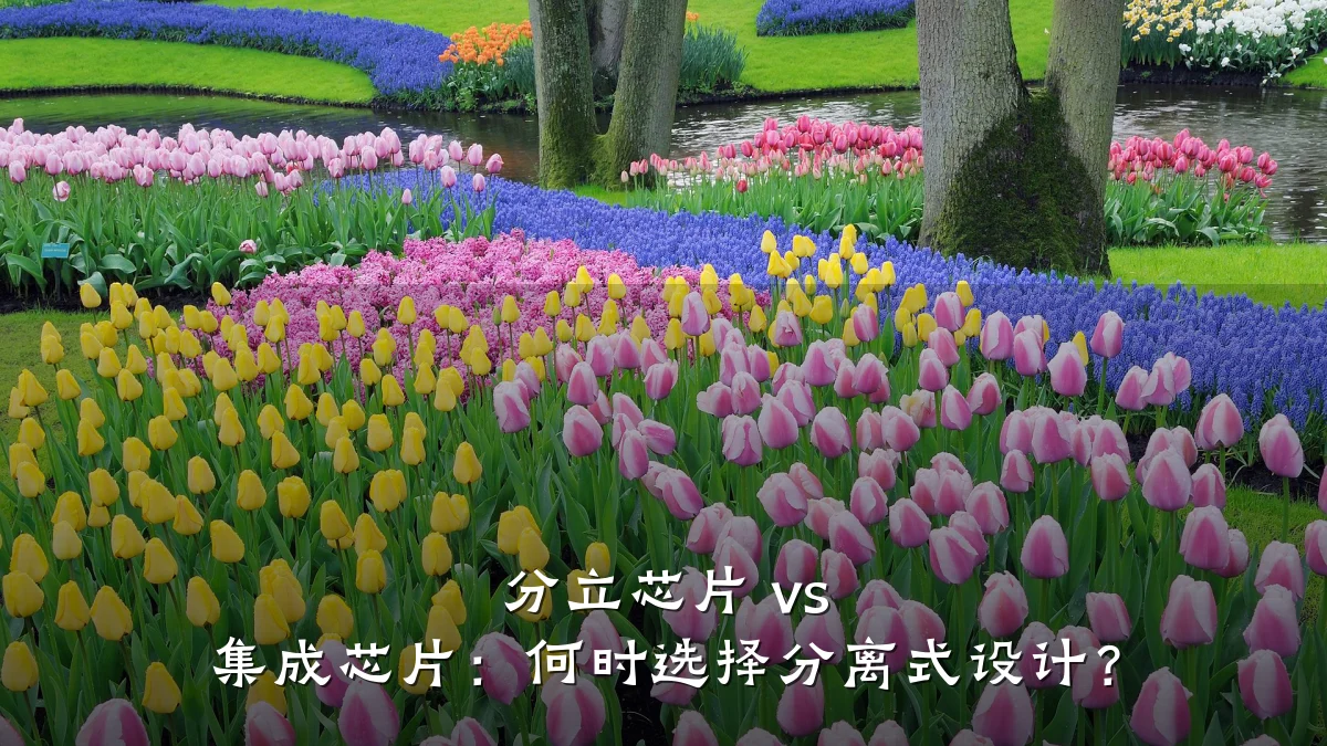 分立芯片 vs 集成芯片:何时选择分离式设计?