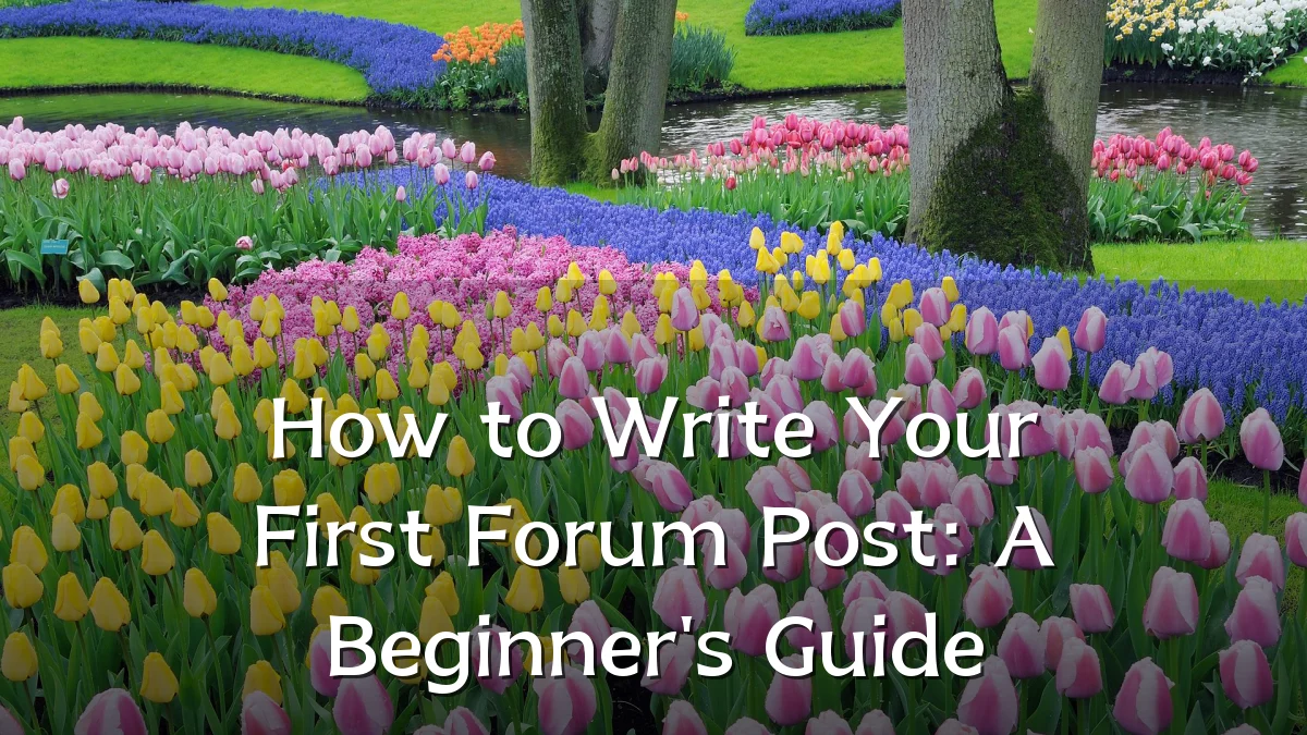 How to Write Your First Forum Post: A Beginner's Guide
