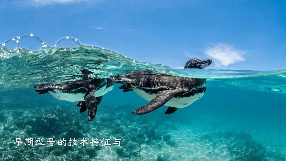 早期型号的技术特征与