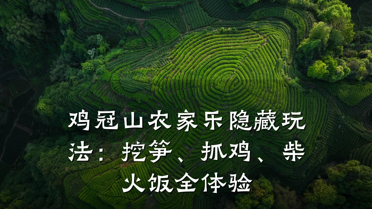 鸡冠山农家乐隐藏玩法:挖笋、抓鸡、柴火饭全体验