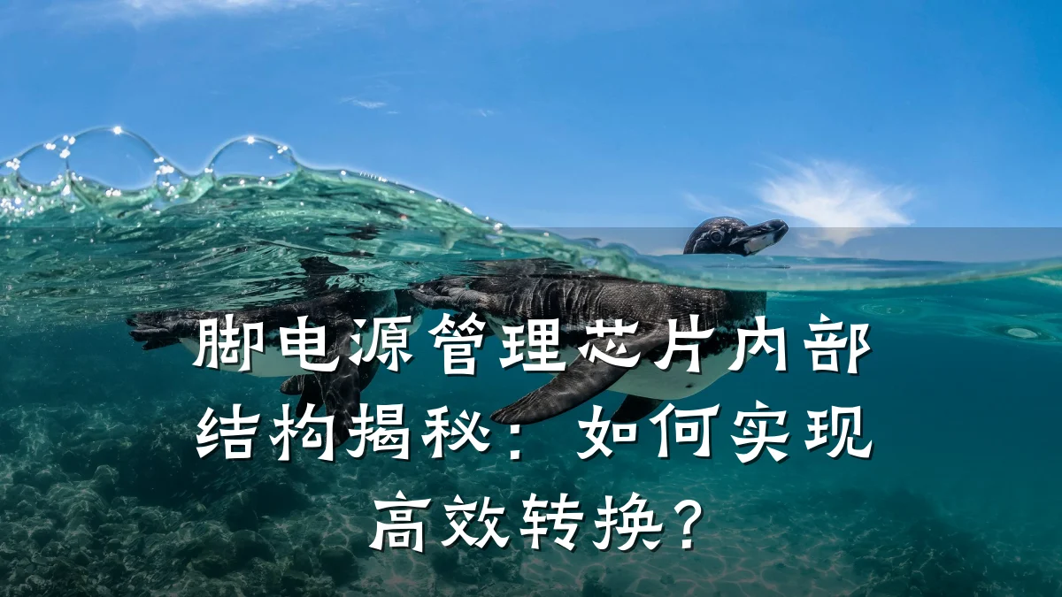 脚电源管理芯片内部结构揭秘:如何实现高效转换?