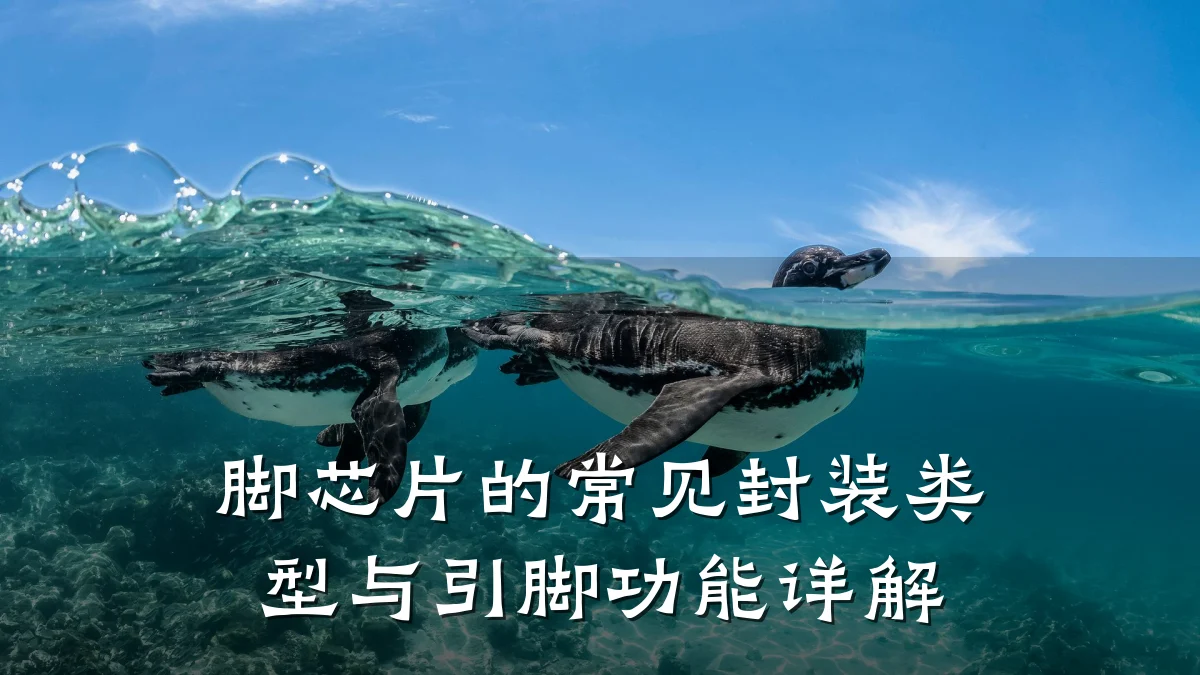 脚芯片的常见封装类型与引脚功能详解